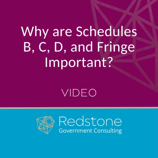 RGCI - Why are Schedules B, C, D, and Fringe Important