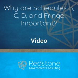 Why Are Schedules B, C, D, And Fringe Important? | Redstone Government ...