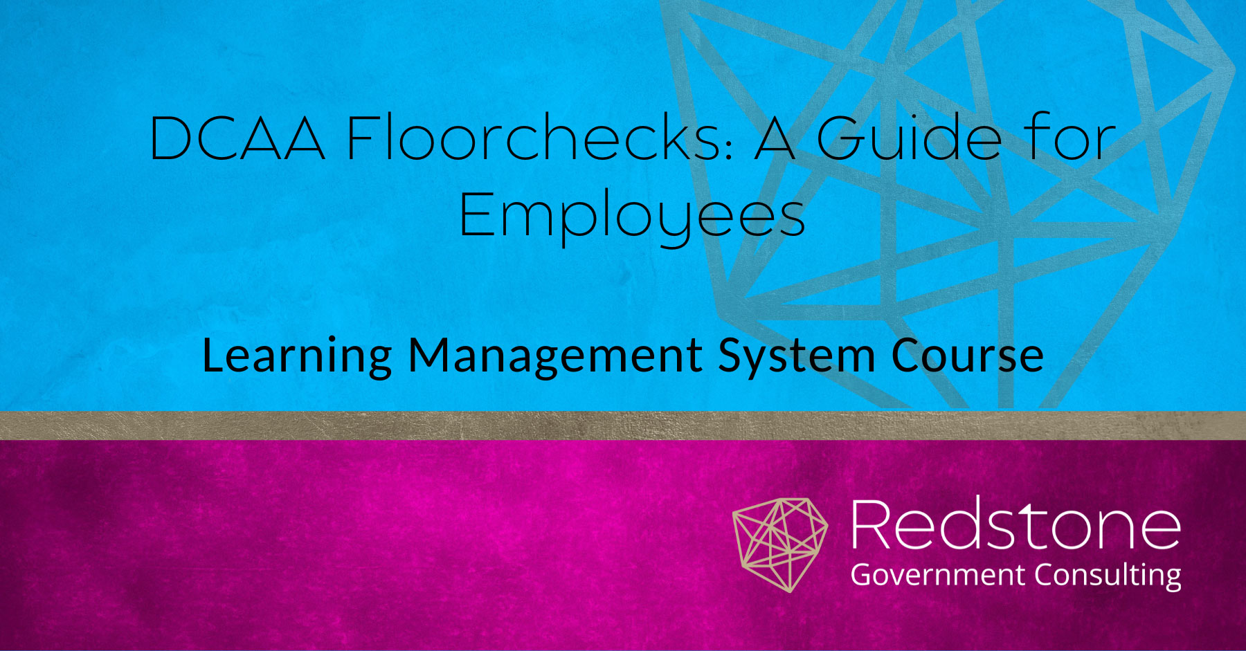 RGCI LMS DCAA Floorchecks A Guide for Employees