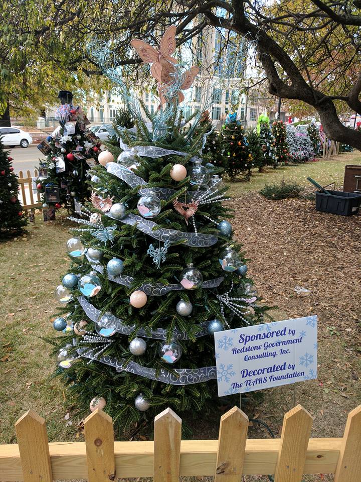 11-2016 Tinsel Trail - The TEARS Foundation AL Chapter 4