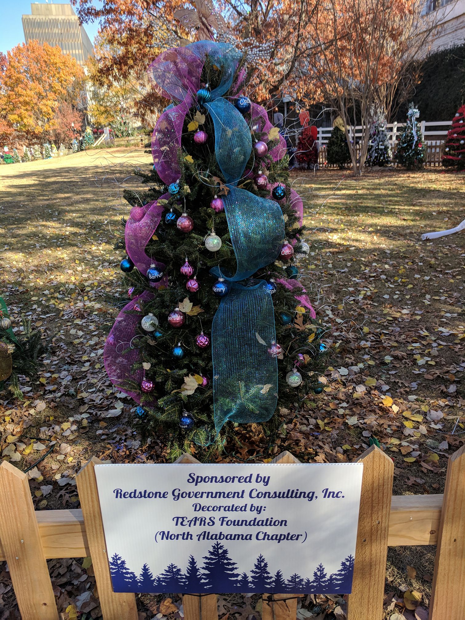 11-2017 Tinsel Trail - The TEARS Foundation AL Chapter 1