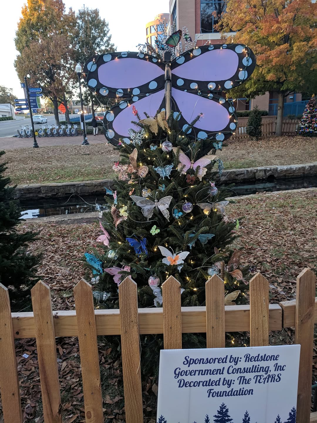 2018 Tinsel Trail Decorated by The TEARS Foundation