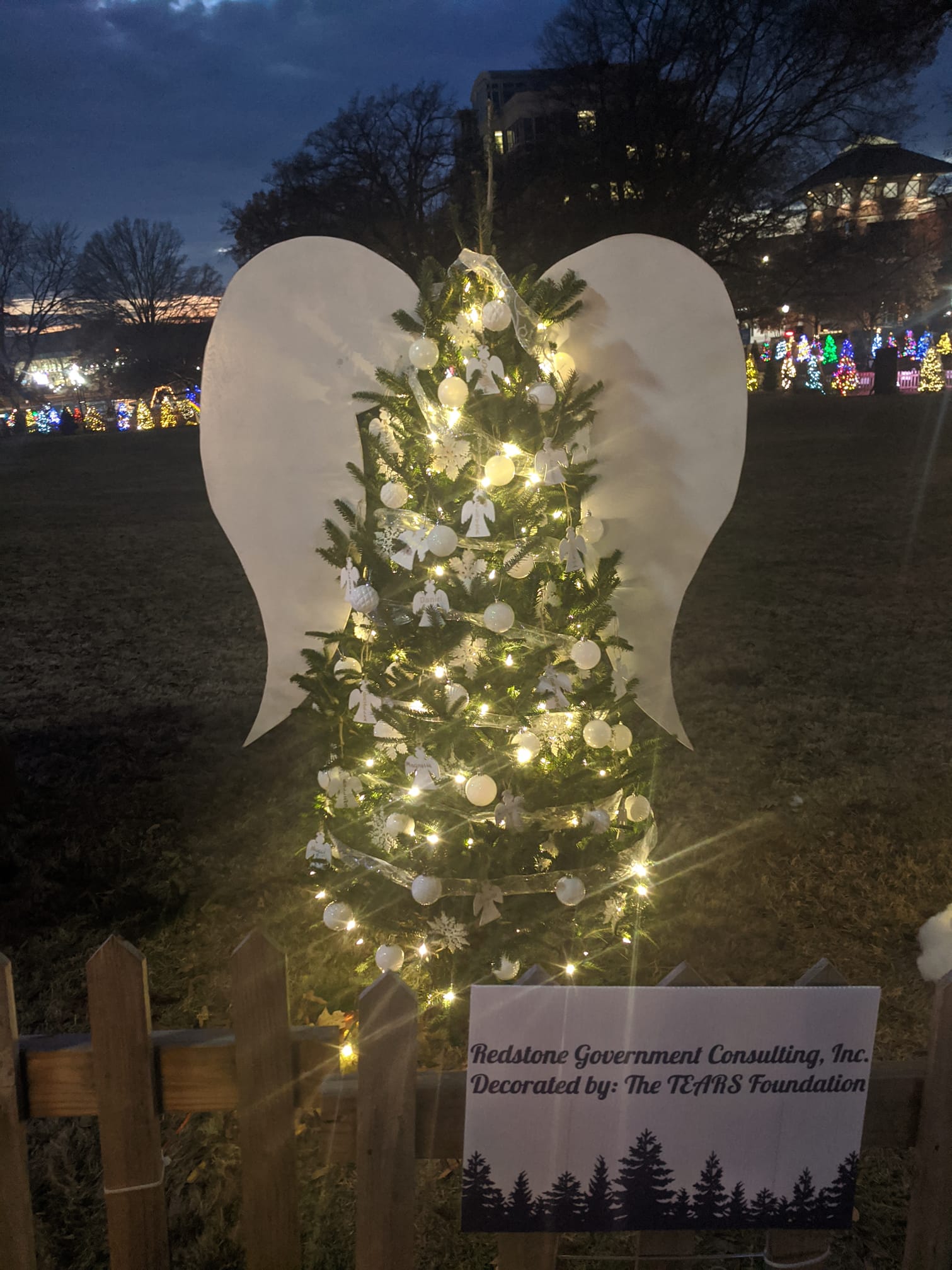 2019 Tinsel Trail Decorated by The TEARS Foundation